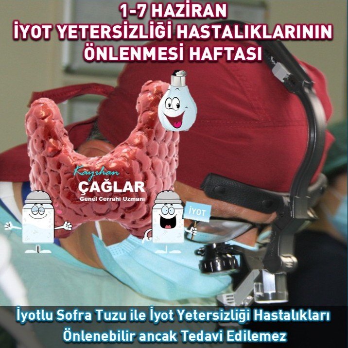 İyotlu Sofra Tuzu ile İyot Yetersizliği Hastalıkları Önlenebilir ancak Tedavi Edilemez